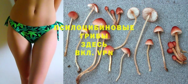мет Богданович