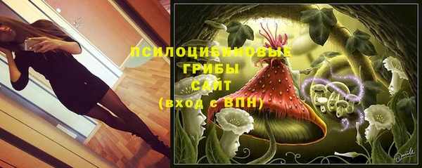 прущие крисы Богородицк