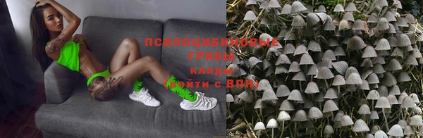 прущие крисы Богородицк