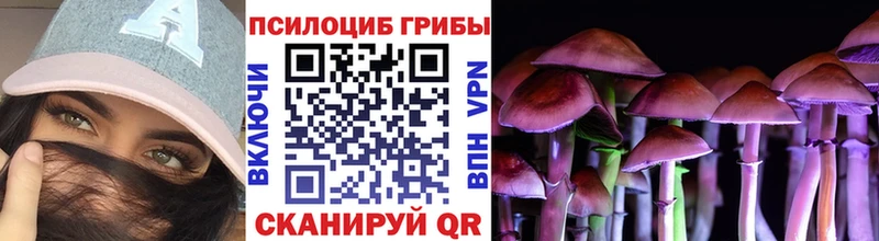 Купить  Островной  Псилоцибиновые грибы Psilocybine cubensis 
